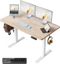 Electric Adjustable Height Standing Desk, 48x24 for Home Office, Computer Desk with 4 Memory Settings