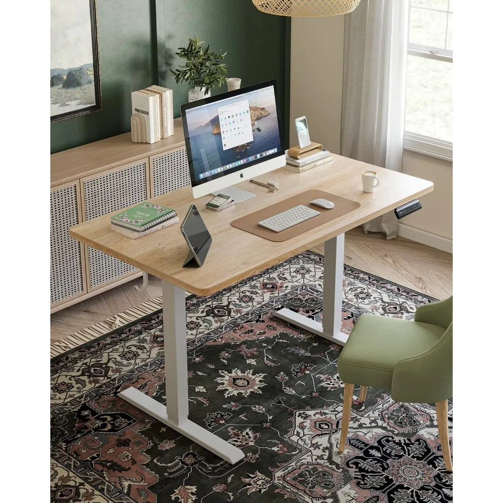 Electric Adjustable Height Standing Desk, 48x24 for Home Office, Computer Desk with 4 Memory Settings